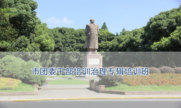 上海复旦大学-市团委干部培训治理专辑培训班