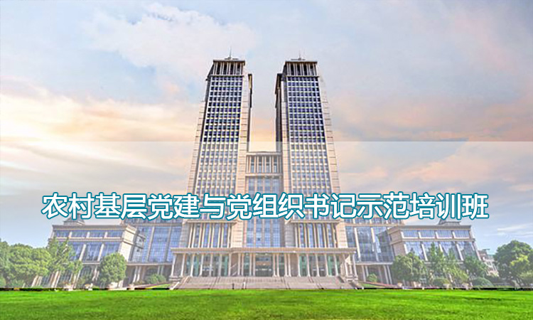 复旦大学-农村基层党建与党组织书记示范培训班